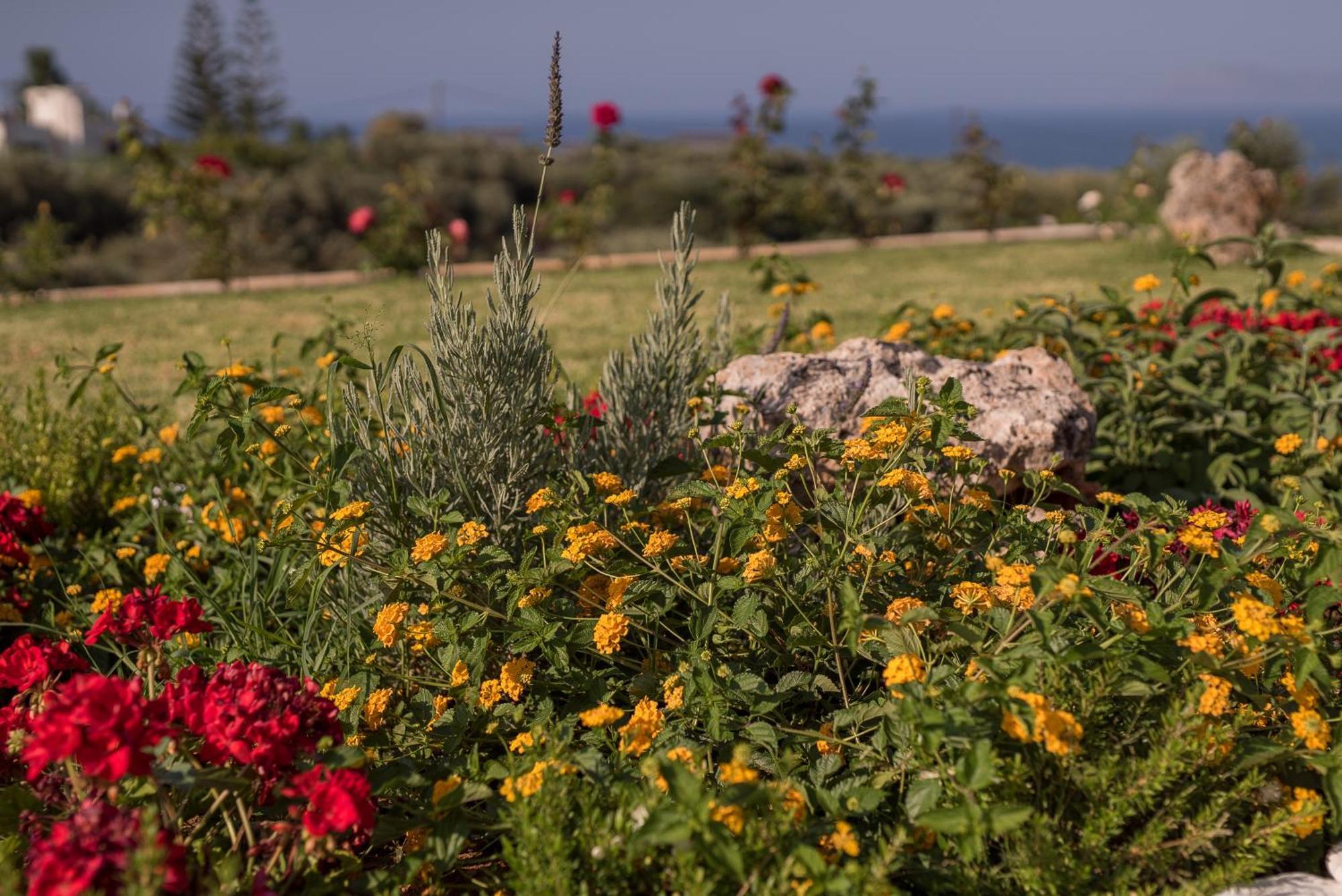 Koukos Villas Stalós Habitación foto