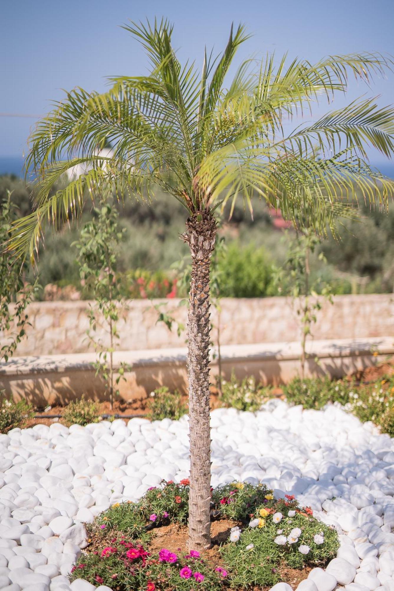 Koukos Villas Stalós Habitación foto